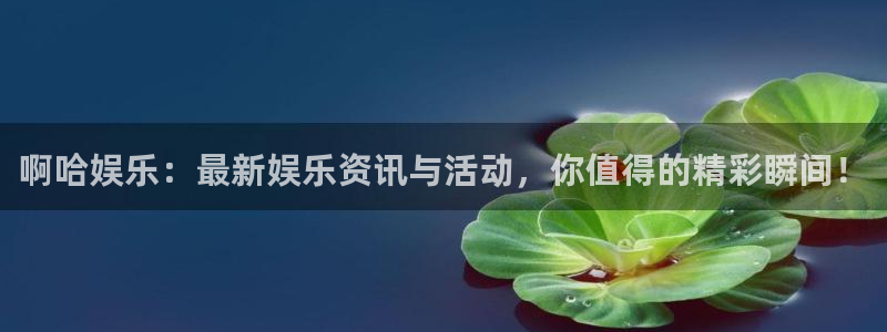 OB视讯3注册：啊哈娱乐：最新娱乐资讯与活动，你值得的精彩瞬间！