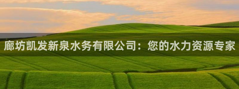 OB视讯平台登录入口：廊坊凯发新泉水务有限公司：您的水力资源专家