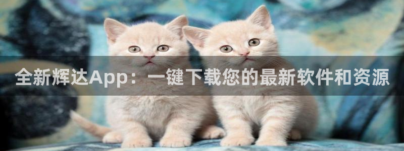 OB视讯体育f开户：全新辉达App：一键下载您的最新软件和资源