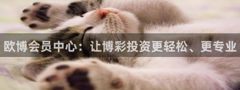 OB视讯k：欧博会员中心：让博彩投资更轻松、更专业
