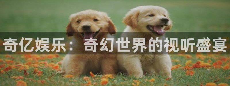 OB视讯体育1招商：奇亿娱乐：奇幻世界的视听盛宴