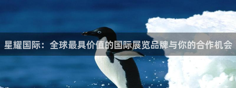 OB视讯f凯捷注册：星耀国际：全球最具价值的国际展览品牌与你的合作机会