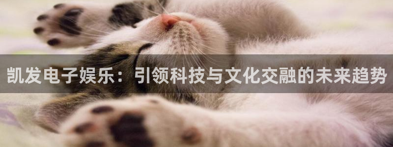 OB视讯平台登录入口：凯发电子娱乐：引领科技与文化交融的未来趋势