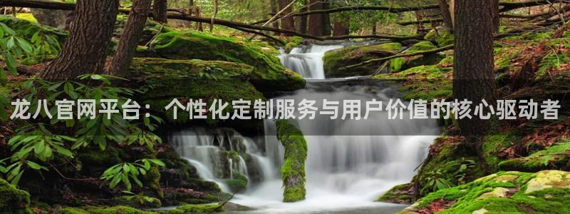 OB视讯体育f开户：龙八官网平台：个性化定制服务与用户价值的核心驱动者