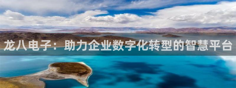 下载OB视讯：龙八电子：助力企业数字化转型的智慧平台