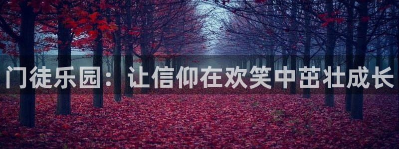OB视讯注册入口与教程：门徒乐园：让信仰在欢笑中茁壮成长