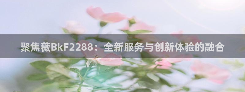 OB视讯官方网站：聚焦薇BkF2288：全新服务与创新体验的融合