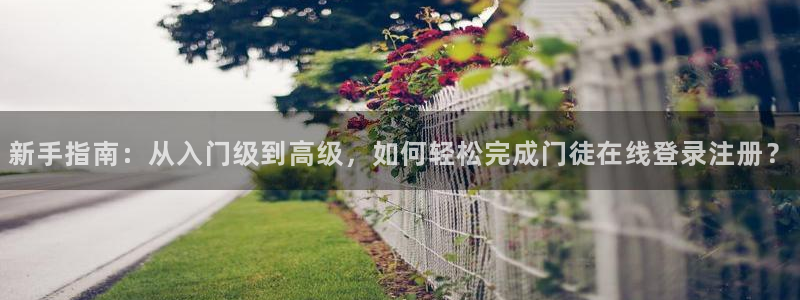 OB视讯代理注册官网入口：新手指南：从入门级到高级，如何轻松完成门徒在线登录注册？