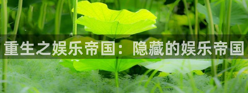 OB视讯注册链接入口：重生之娱乐帝国：隐藏的娱乐帝国
