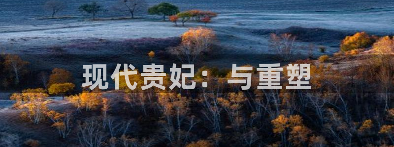 OB视讯体育2：现代贵妃：与重塑