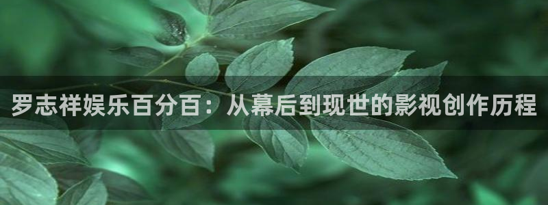 OB视讯官方网站：罗志祥娱乐百分百：从幕后到现世的影视创作历程