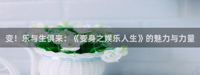 上海OB视讯汽车电子有限公司：变！乐与生俱来：《变身之娱乐人生》的魅力与力量