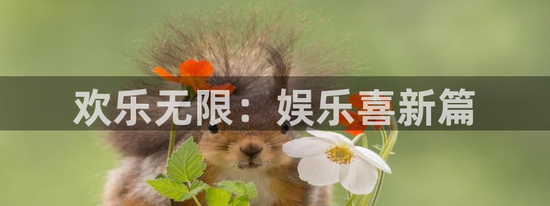 OB视讯3平台注册：欢乐无限：娱乐喜新篇