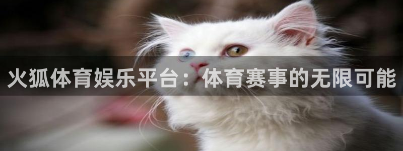 OB视讯加拿大在线预测：火狐体育娱乐平台：体育赛事的无限可能