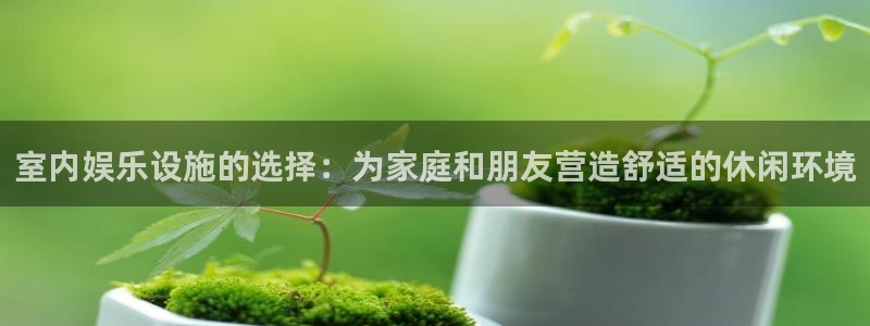 OB视讯可靠吗：室内娱乐设施的选择：为家庭和朋友营造舒适的休闲环境