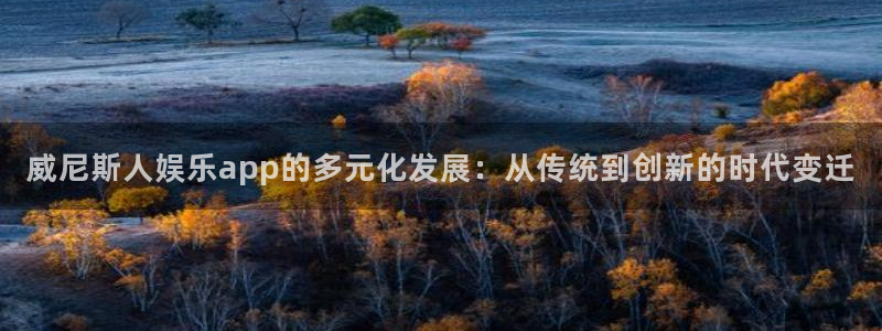 OB视讯凯捷平台：威尼斯人娱乐app的多元化发展：从传统到创新的时代变迁