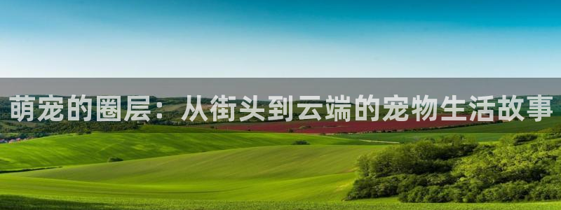 OB视讯2登录入口：萌宠的圈层：从街头到云端的宠物生活故事