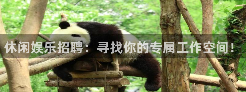 OB视讯：休闲娱乐招聘：寻找你的专属工作空间！