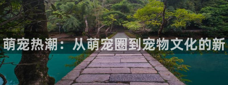 OB视讯平台：萌宠热潮：从萌宠圈到宠物文化的新