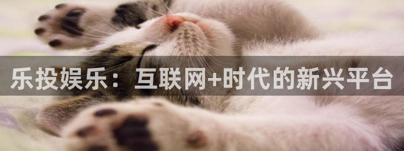 OB视讯官网：乐投娱乐：互联网+时代的新兴平台