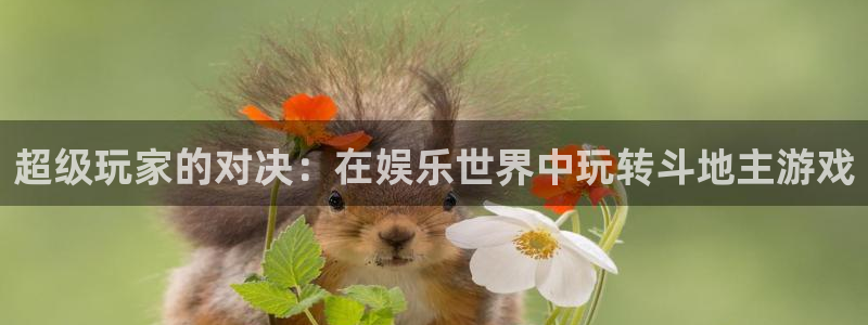 OB视讯加拿大官网：超级玩家的对决：在娱乐世界中玩转斗地主游戏