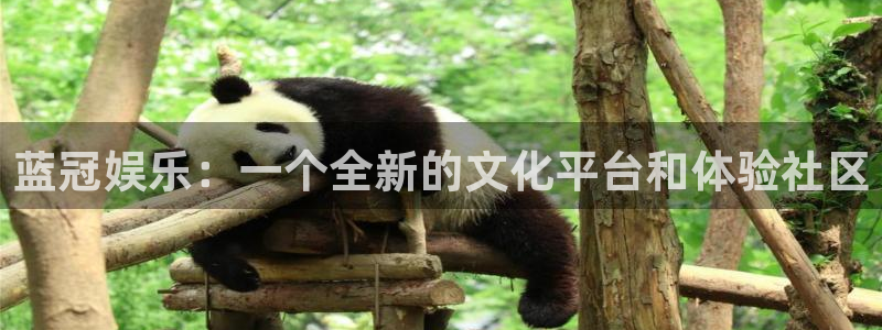 OB视讯app：蓝冠娱乐：一个全新的文化平台和体验社区