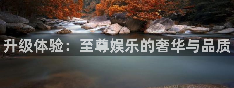 OB视讯2登录入口：升级体验：至尊娱乐的奢华与品质