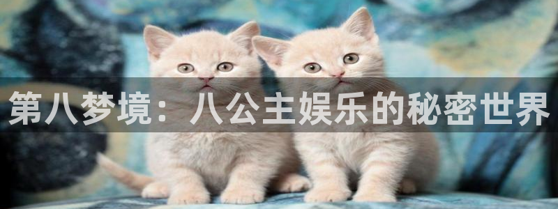 OB视讯苹果手机下载链接：第八梦境：八公主娱乐的秘密世界