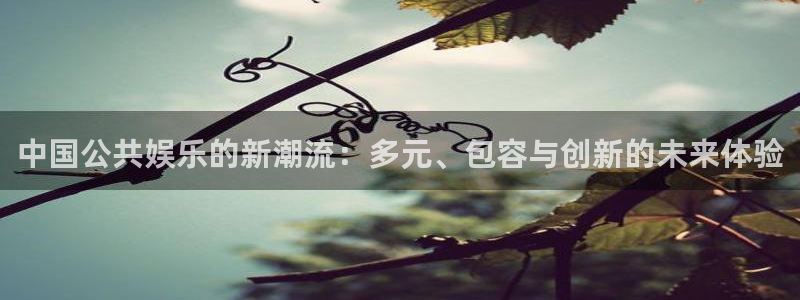 OB视讯加拿大：中国公共娱乐的新潮流：多元、包容与创新的未来体验