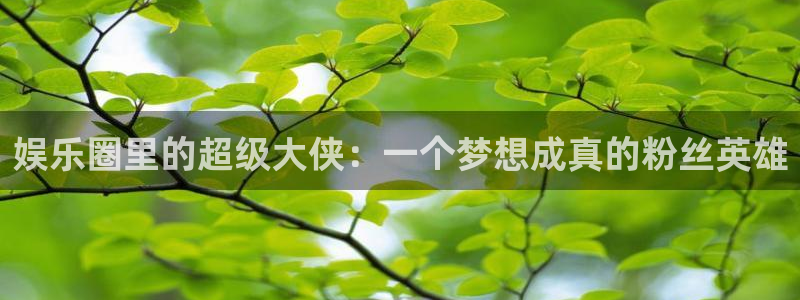 南宫OB视讯：娱乐圈里的超级大侠：一个梦想成真的粉丝英雄