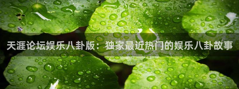 OB视讯体育注册平台：天涯论坛娱乐八卦版：独家最近热门的娱乐八卦故事