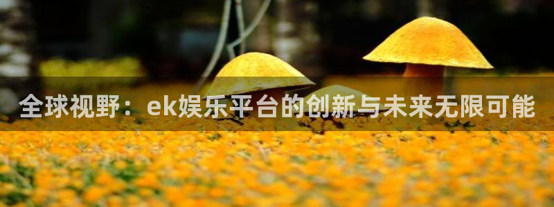 OB视讯体育f开号：全球视野：ek娱乐平台的创新与未来无限可能